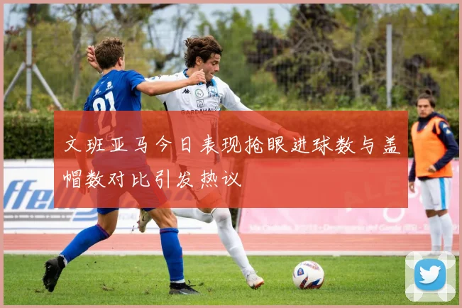 文班亚马今日表现抢眼进球数与盖帽数对比引发热议
