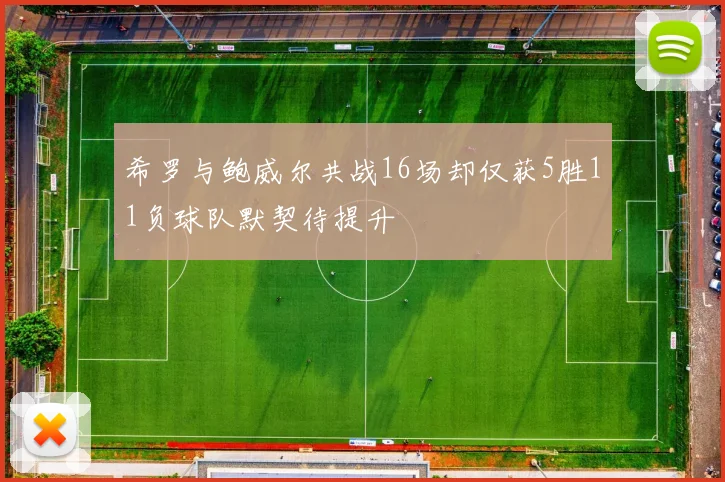 希罗与鲍威尔共战16场却仅获5胜11负球队默契待提升
